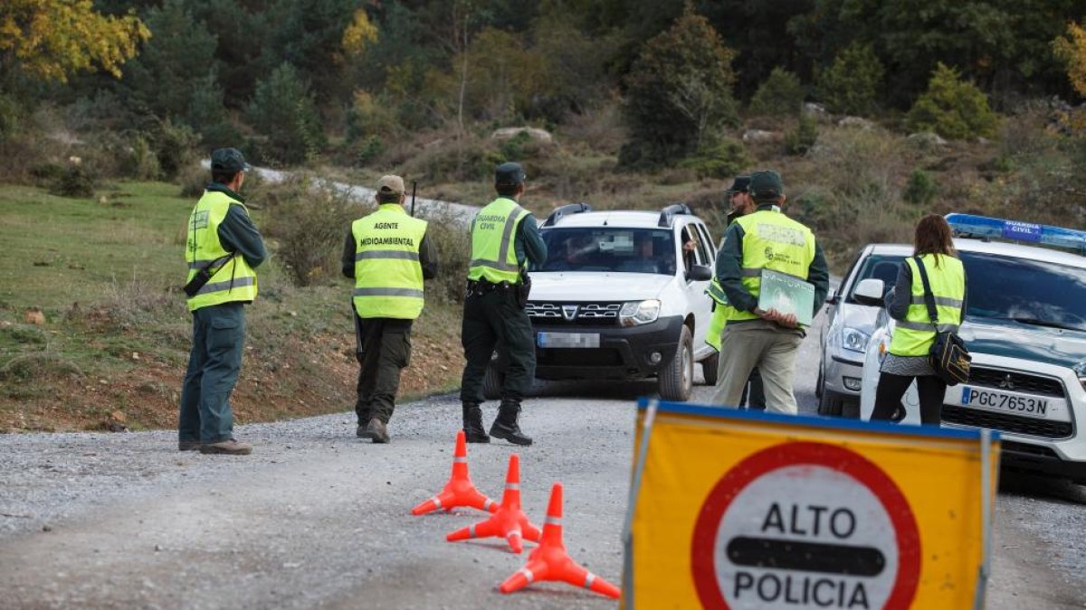 Operativo coordinado de la Junta de Castilla y León y la Guardia Civil para control de los aprovechamientos micológicos-Ical