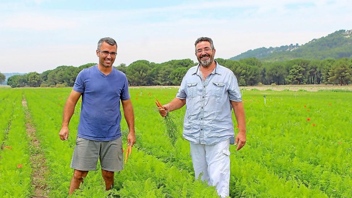 Juan Gay, productor ecológico de Megeces (Valladolid), en una parcela de zanahorias junto al presidente del Consejo de Agricultura Ecológica de Castilla y León, Juan Senovilla.-M.C.