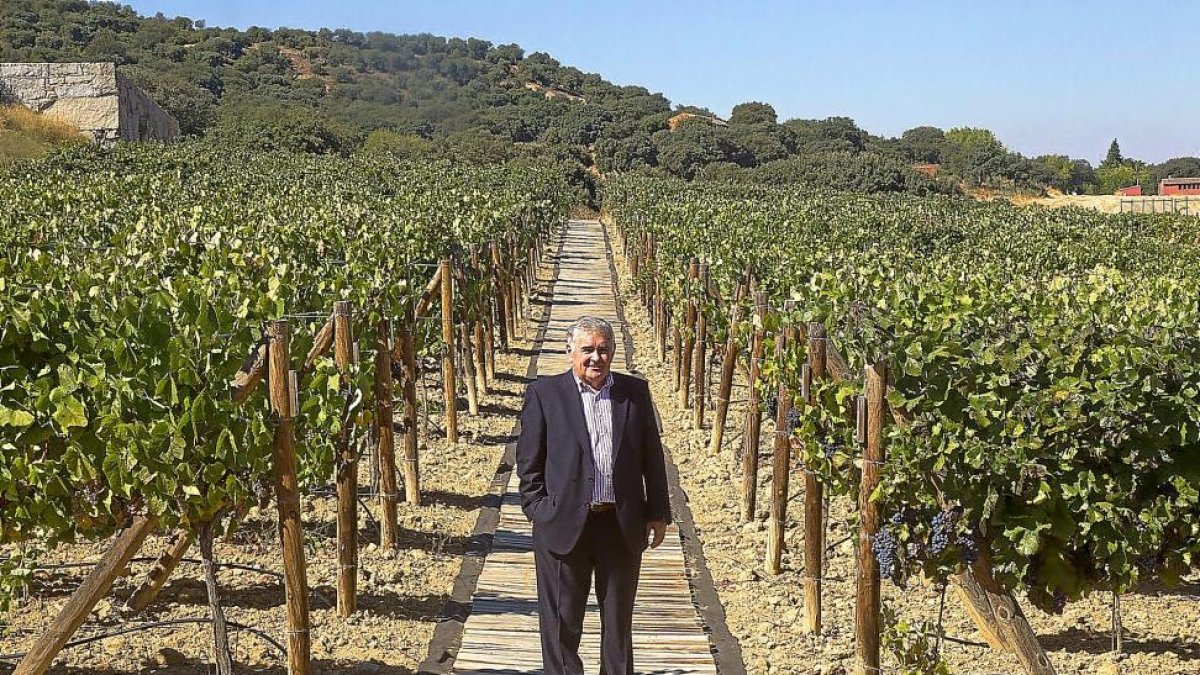 Simón García Taboada posa en los terrenos de viñedos que posee en la provincia de Zamora.-J. L. C.