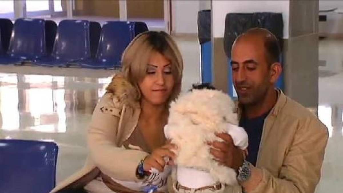 Refugiados sirios llegan a Málaga desde Melilla.-