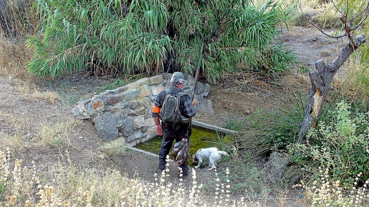 Un cazador dando agua de beber a su perra durante una calurosa jornada a la perdiz en Toledo, el pasado martes.-EL MUNDO