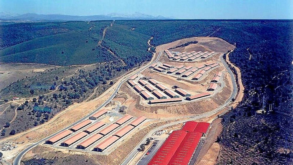 Vista aérea del complejo ganadero del polígono de Vidanes, en León.-M. V.