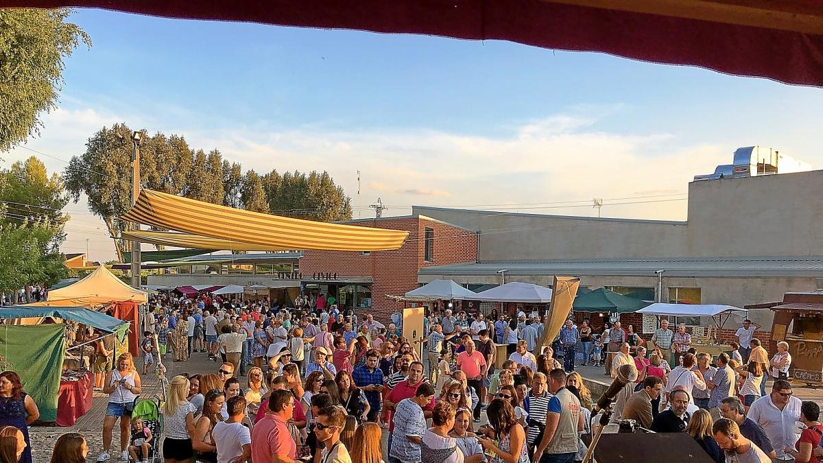 Una multitud de gente durante el pregón de la fiesta de la vendimia del municipio vallisoletano de Serrada.-E.M.