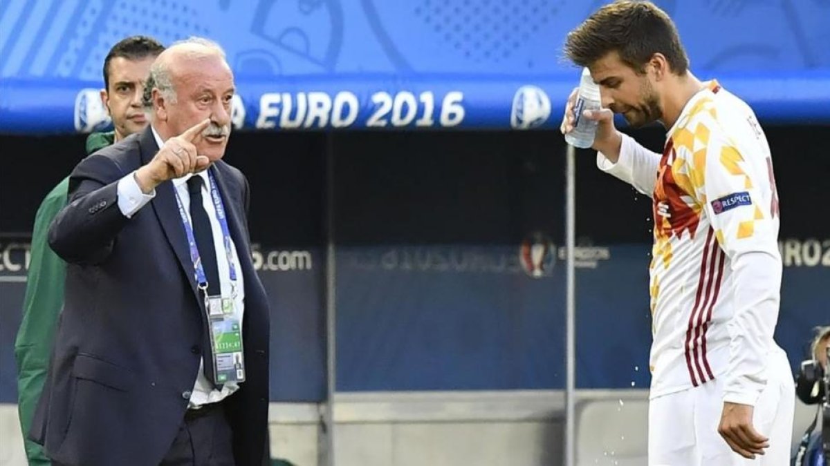 Del Bosque da instrucciones junto a Piqué en el partido disputado en Burdeos.-AFP / GEORGES GOBET