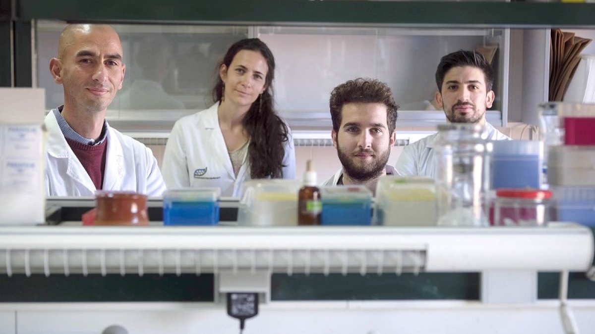 GRUPO-INTERACCIONES-MICROBIANAS