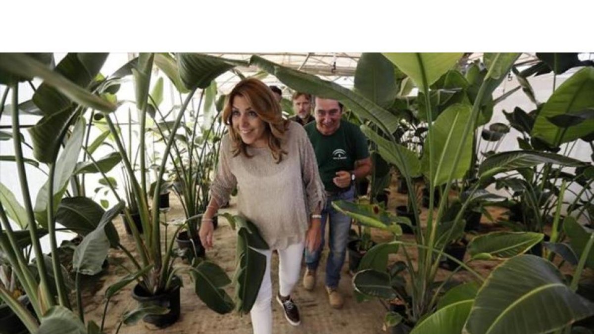 La presidenta de Andalucía, Susana Díaz, durante la visita a un vivero en Sevilla el pasado mes de julio.-EFE