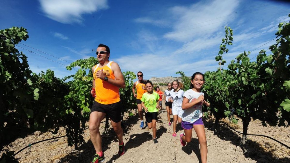 Imagen de una de las carreras del circuito ‘Corriendo entre Viñas’.-MARIANO GONZÁLEZ