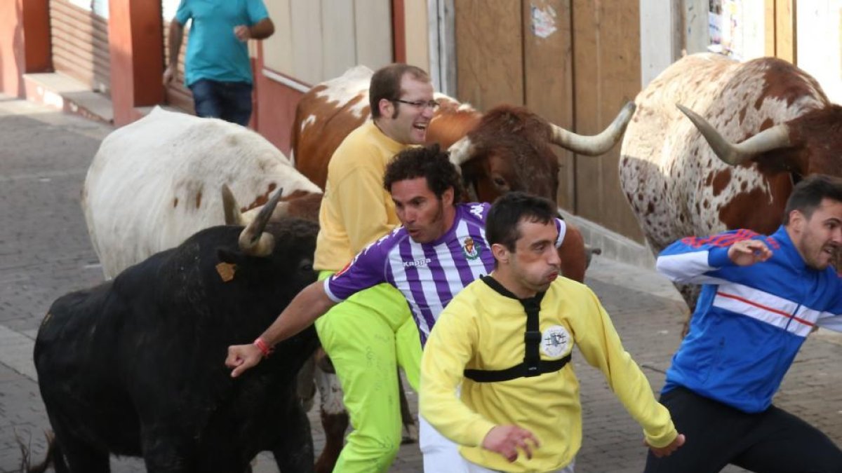 Momento del encierro de Cuellar.-ICAL