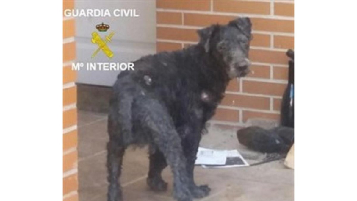 -GUARDIA CIVIL