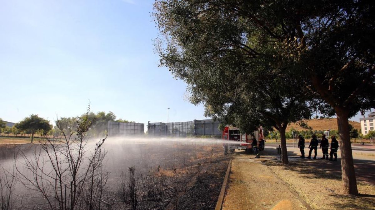 Los bomberos de Valladolid trabajan en la extinción de un fuego de matorral seco en el barrio de Villa del Prado.-ICAL