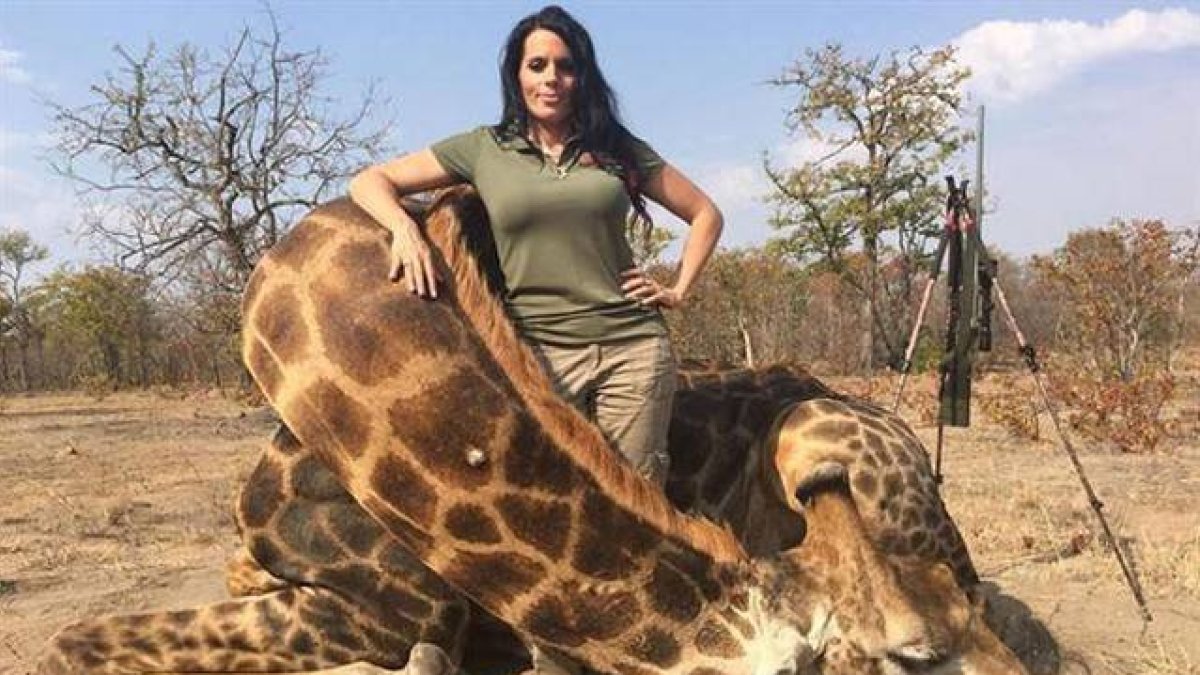 Corgatelli, junto a una jirafa muerta.-