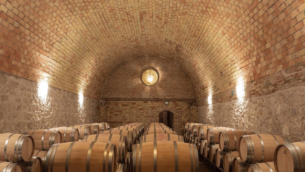 Interior de la bodega Vega Sicilia.