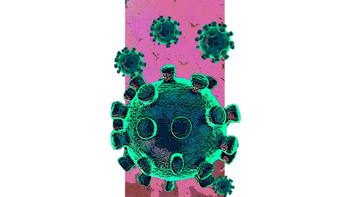 CORONAVIRUS. - EM.