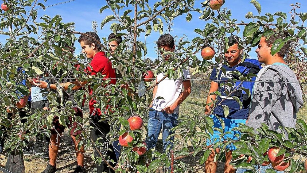 Jóvenes universitarios en los campos de ensayo de la Escuela Técnica Superior de Ingenierías Agrarias de Palencia.-BRÁGIMO