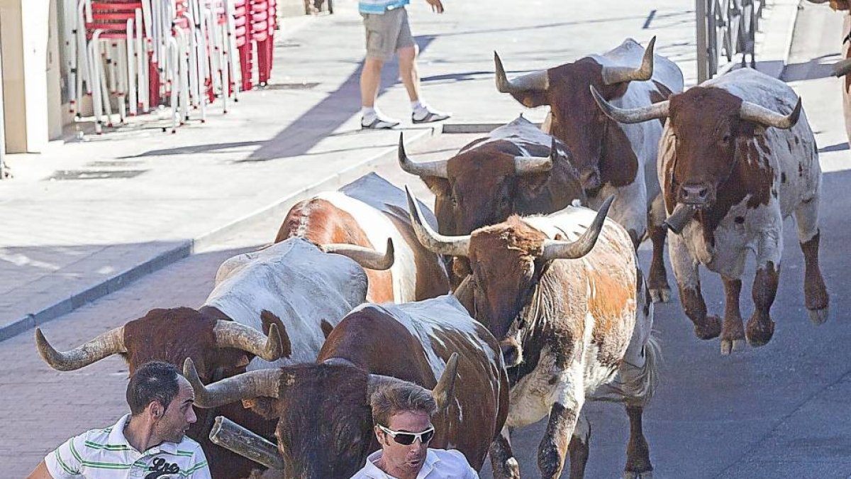 Varios corredores delante del ganado cerca de la Plaza Mayor.-Pablo Requejo