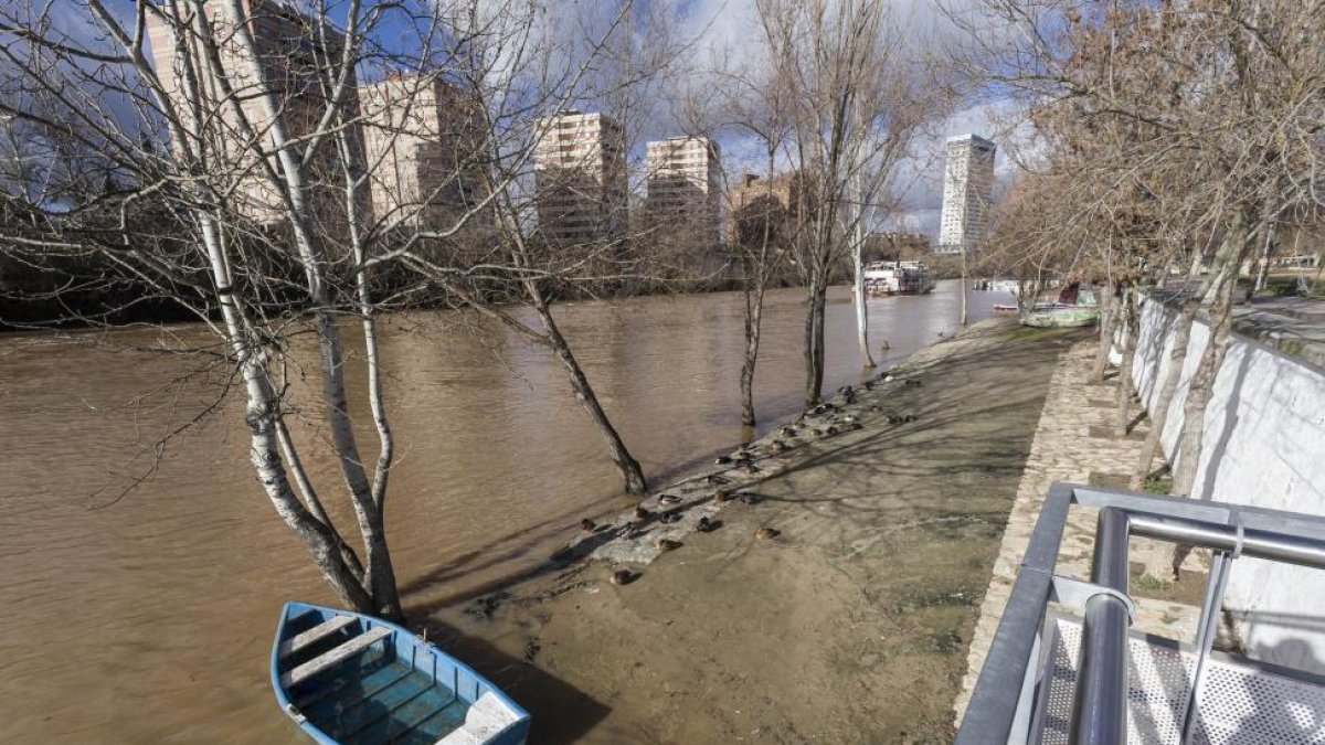 Río Pisuerga a su paso por Valladolid.-Pablo Requejo