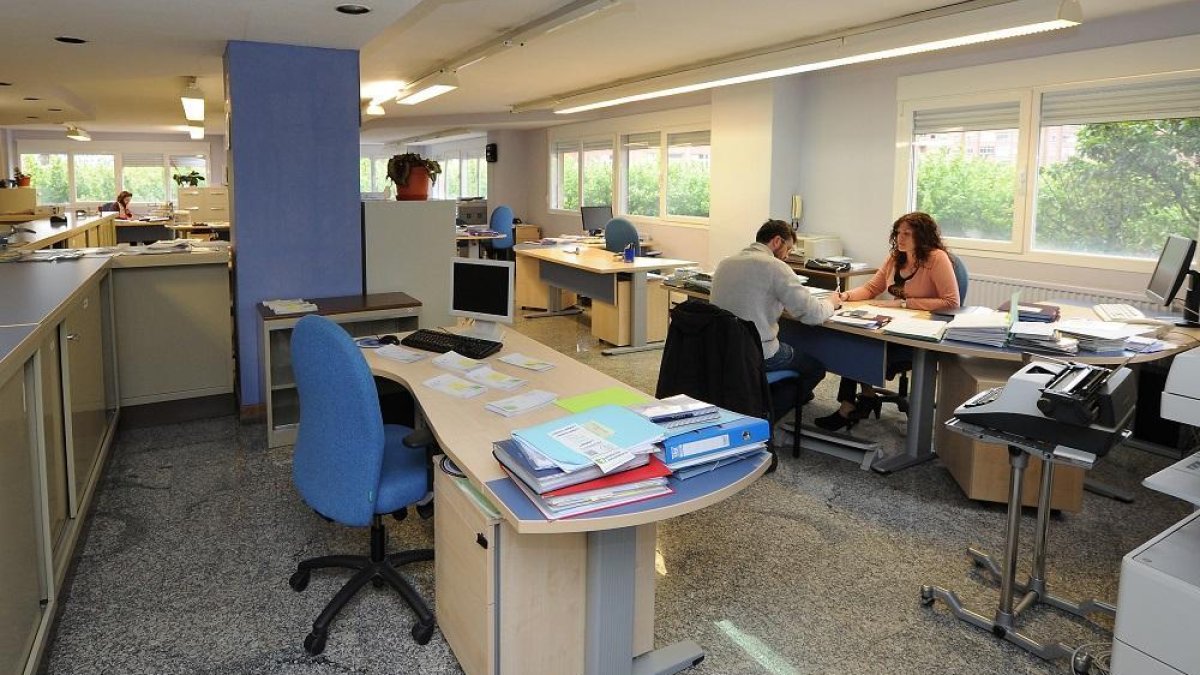 Varios técnicos trabajando en la sede dela Cámara Agraria de la plaza Virgen del Manzano de Burgos.-I. L. M.