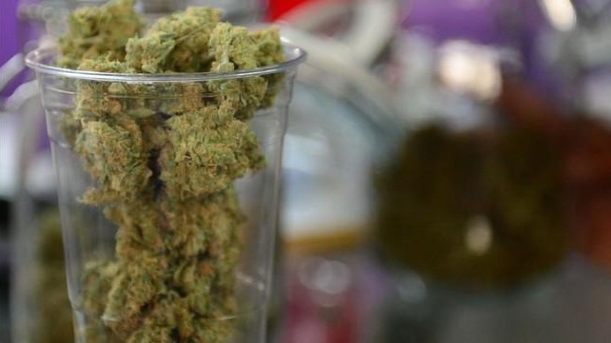 De Jong, ganó más de 40 millones de euros mediante el tráfico de cannabis a España, Italia e Inglaterra.-FREDERIC J BROWN