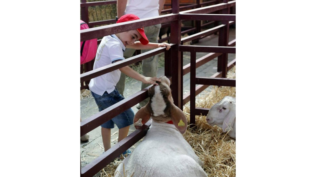 Un joven asistente a la Feria SALAMAQ 2014-Ical
