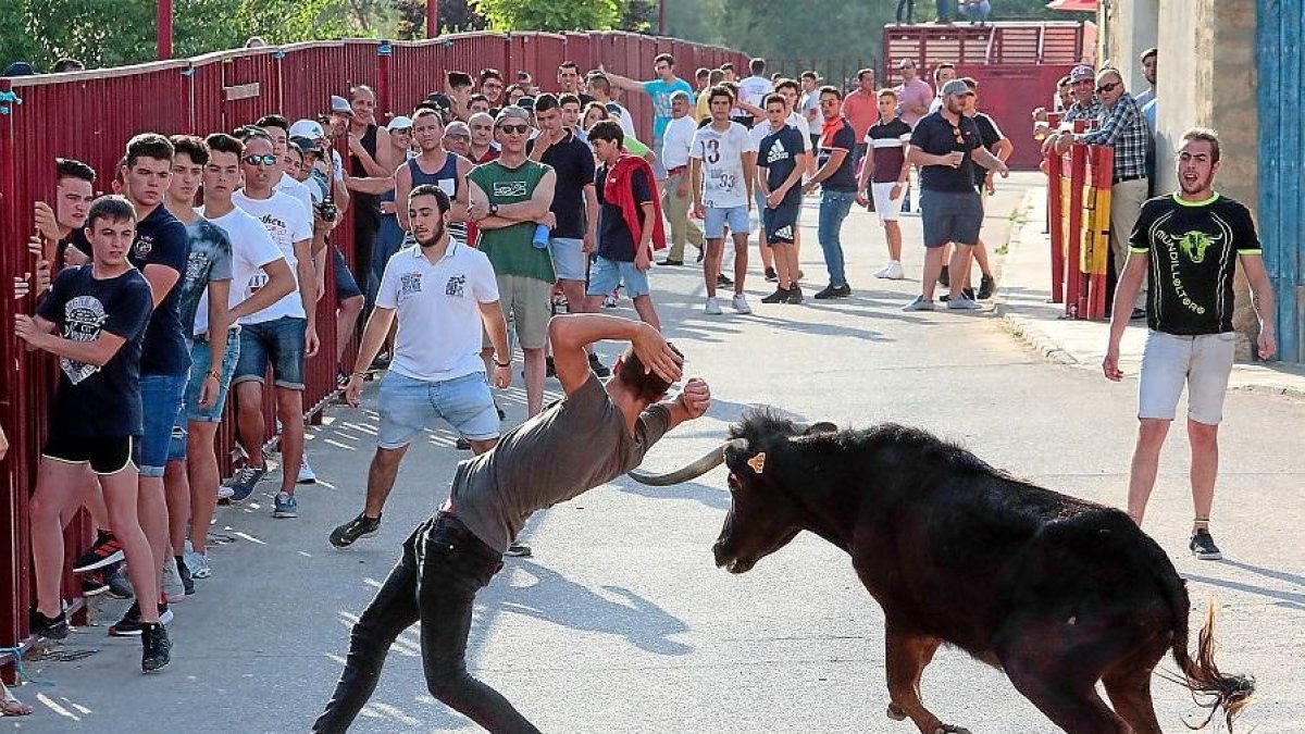 Un momento del encierro y de la suelta de novillos por las calles de Mucientes, con motivo de las fiestas de San Pedro.-PABLO REQUEJO / PHOTOGENIC