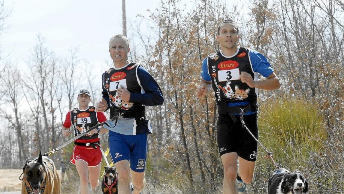 Prueba de canicross celebrada en Pedrajas.-EL MUNDO