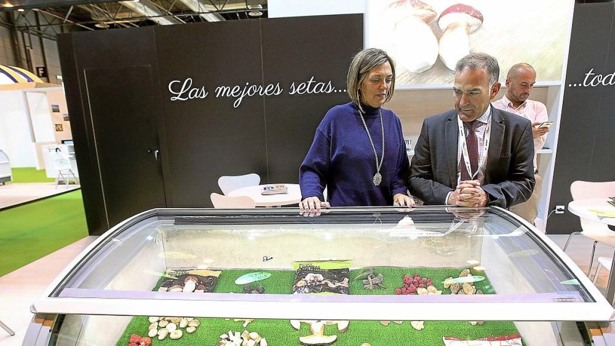 La consejera de Agricultura, Milagros Marcos, durante su visita a la feria ‘Fruit Attraction’.-ICAL