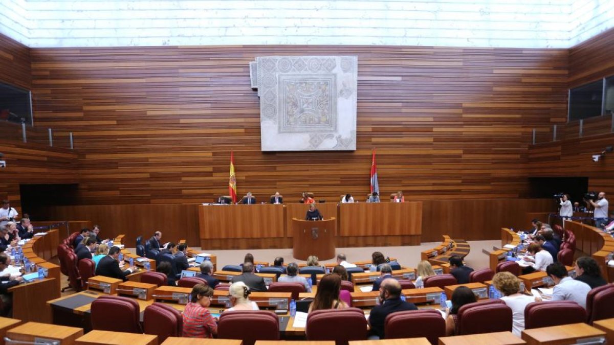 Imagen del pleno-ICAL
