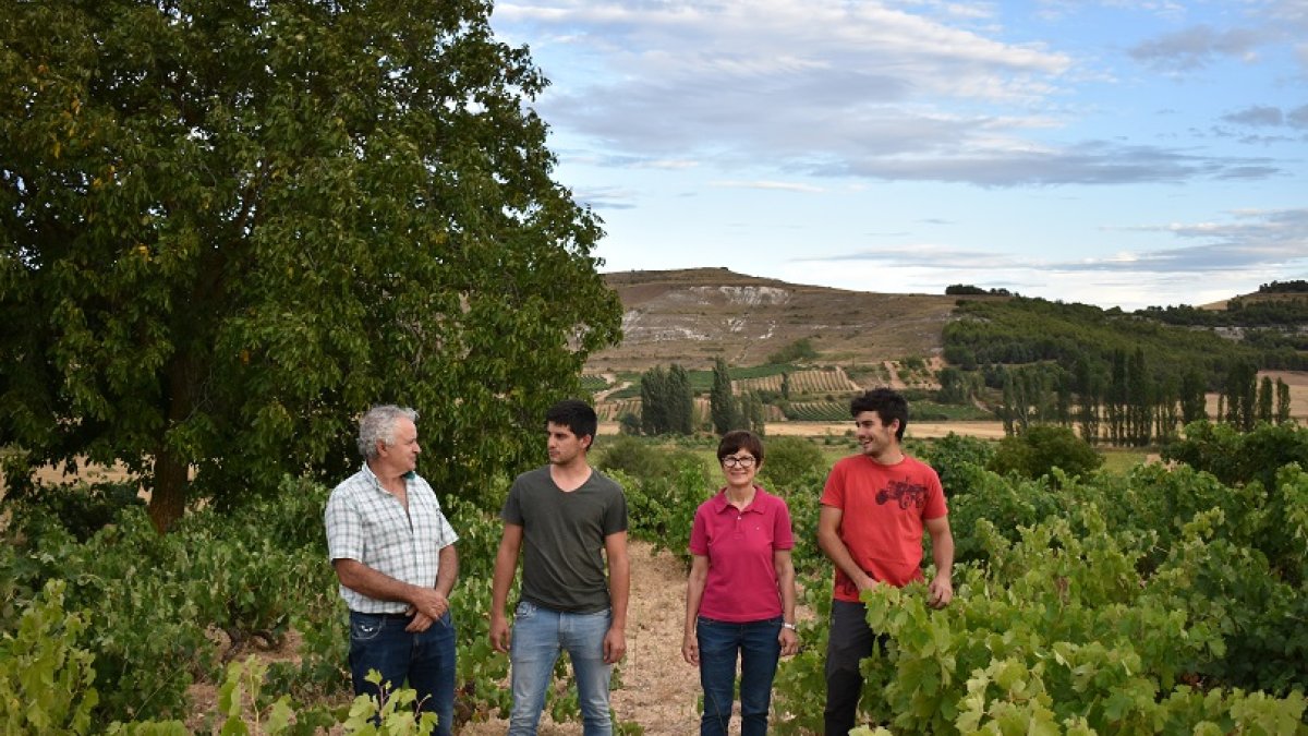 BODEGA BUEN CAMINO