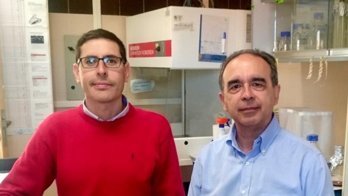 El alcalde de León, Antonio Silván, y el director artístico del ‘Purple Weekend’, Constantino Chao, presentan la XXVII edición del Festival Internacional-Ical