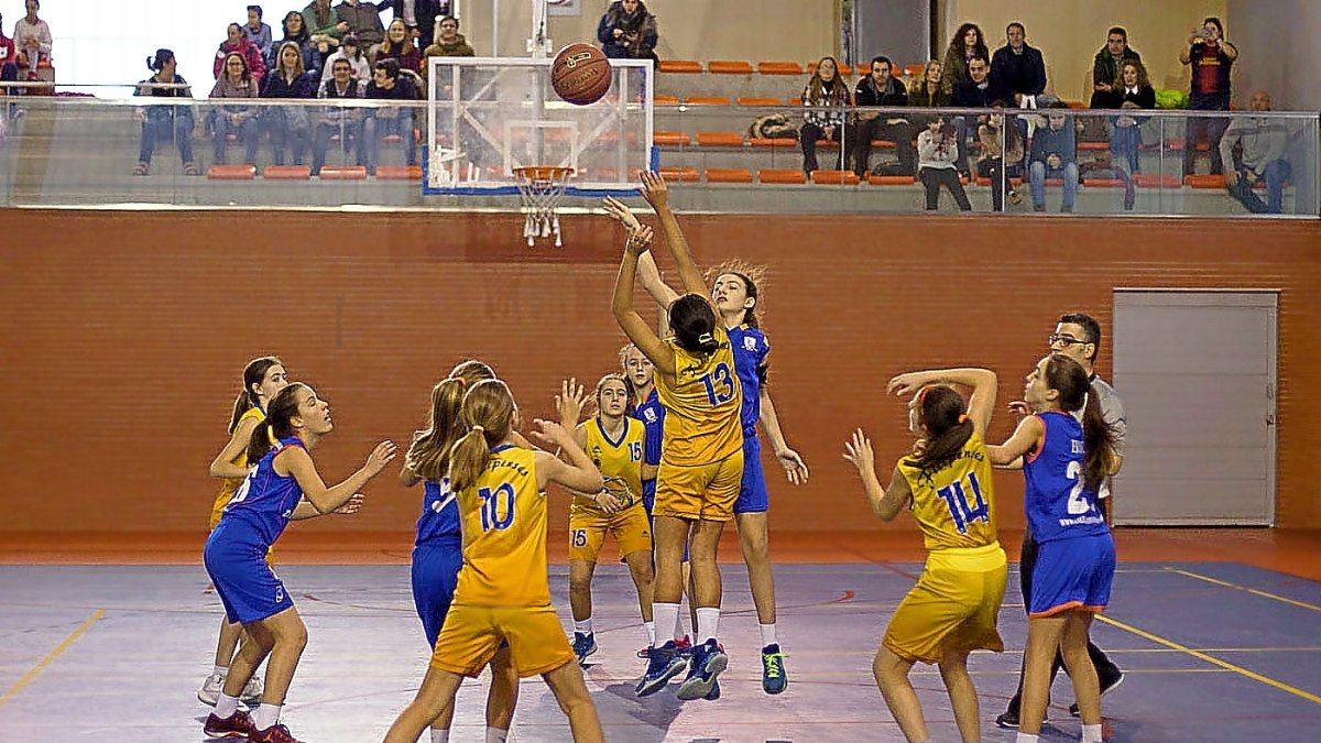 23 12 22 00 87550932