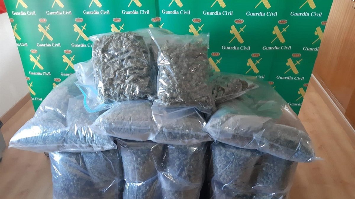Marihuana transportada por los ahora detenidos en Valladolid. - GUARDIA CIVIL