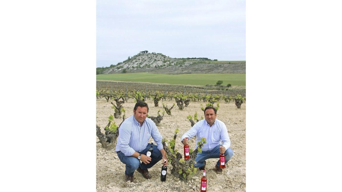 Los hermanos Carlos y Pablo González López posan con varias botellas del rosado y tinto Mucy, en el pago Camino del Monte-EL MUNDO