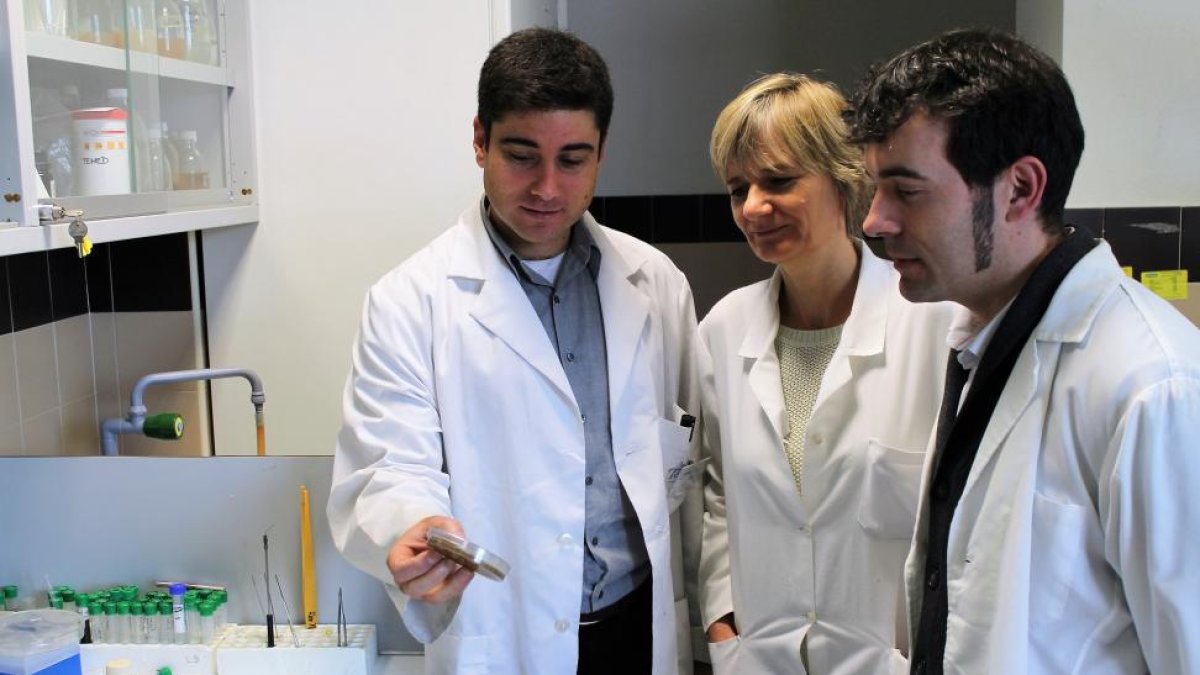 Carlos García-Estrada, Katarina Kosalková y Carlos Barreiro en las instalaciones del Inbiotec.-E.M.