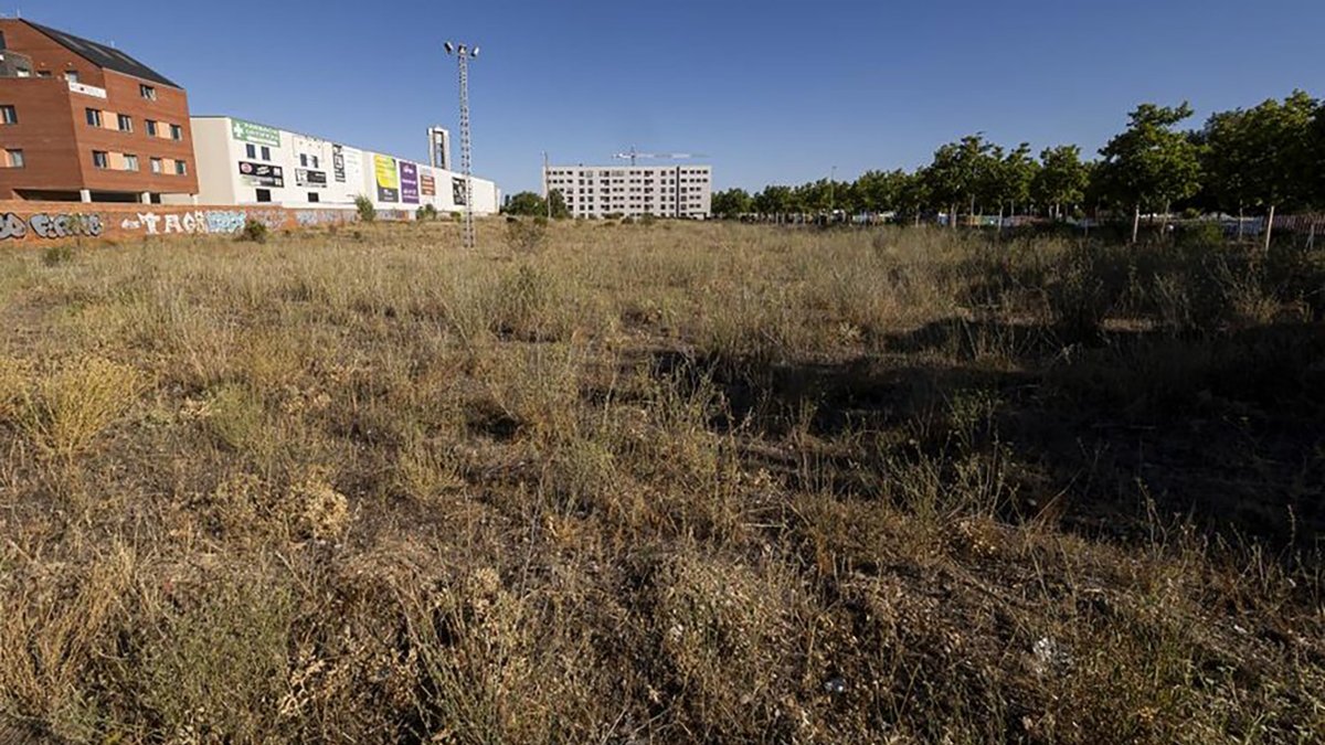 Parcela de Canterca elegida para ubicar el  centro de refugiados.- J. M. LOSTAU