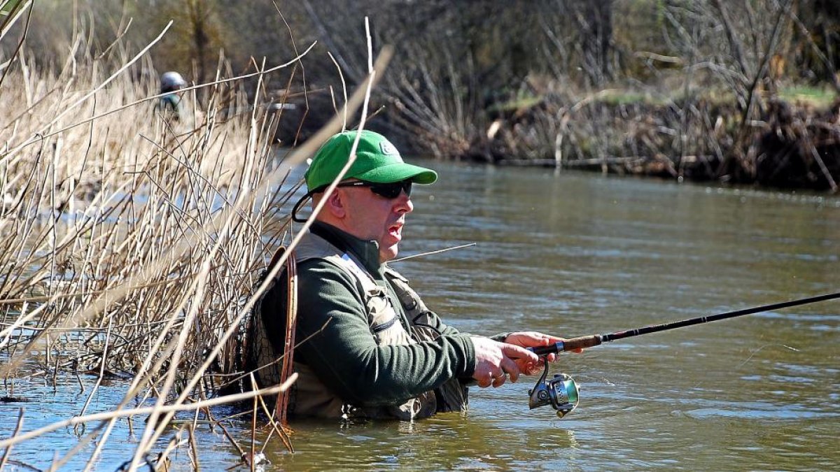 Un aficionado, en aguas del río Duero en el inicio de la campaña truchera de 2015.-LEONARDO DE LA FUENTE