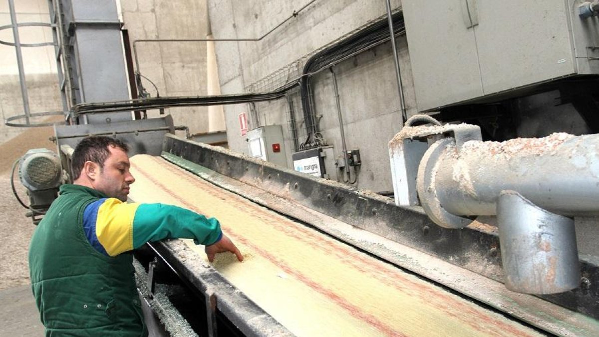 Un operario de la planta de abonos de la cooperativa Agropal.-ICAL