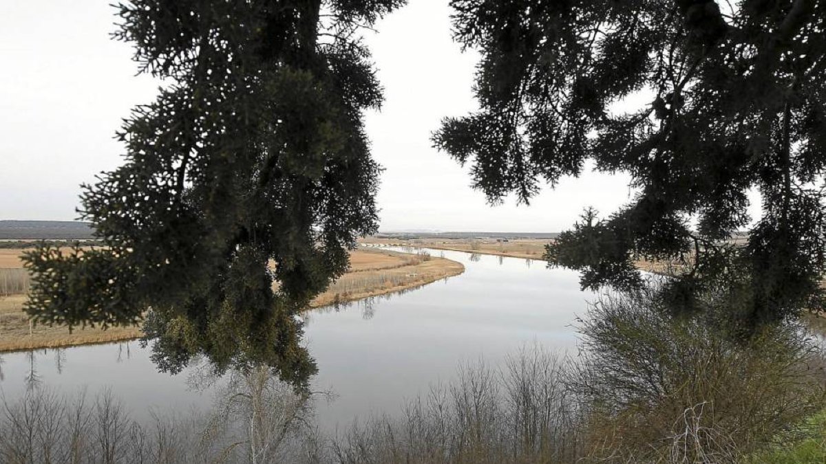 El Duero en Castronuño, en una zona protegida por su valor medioambiental.-J.M. Lostau