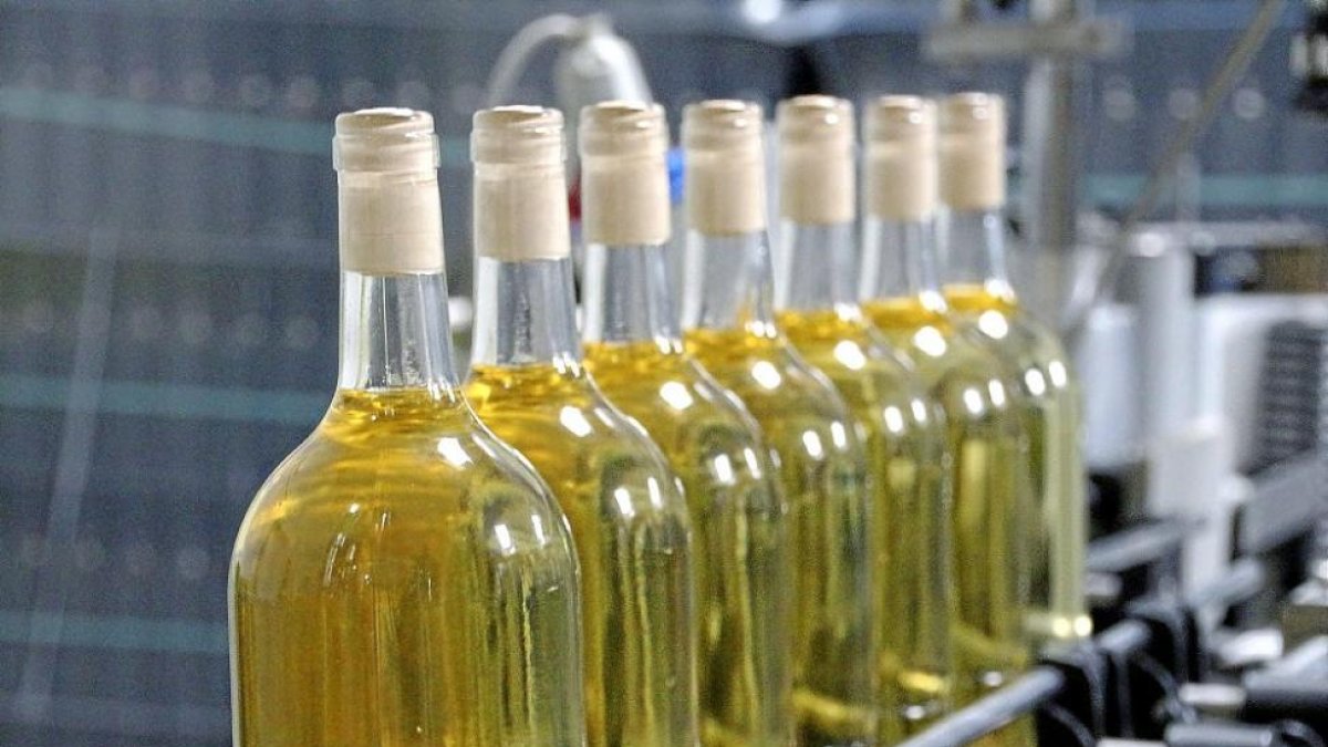 Imagen de archivo de embotellamiento de verdejo de la DO Rueda.