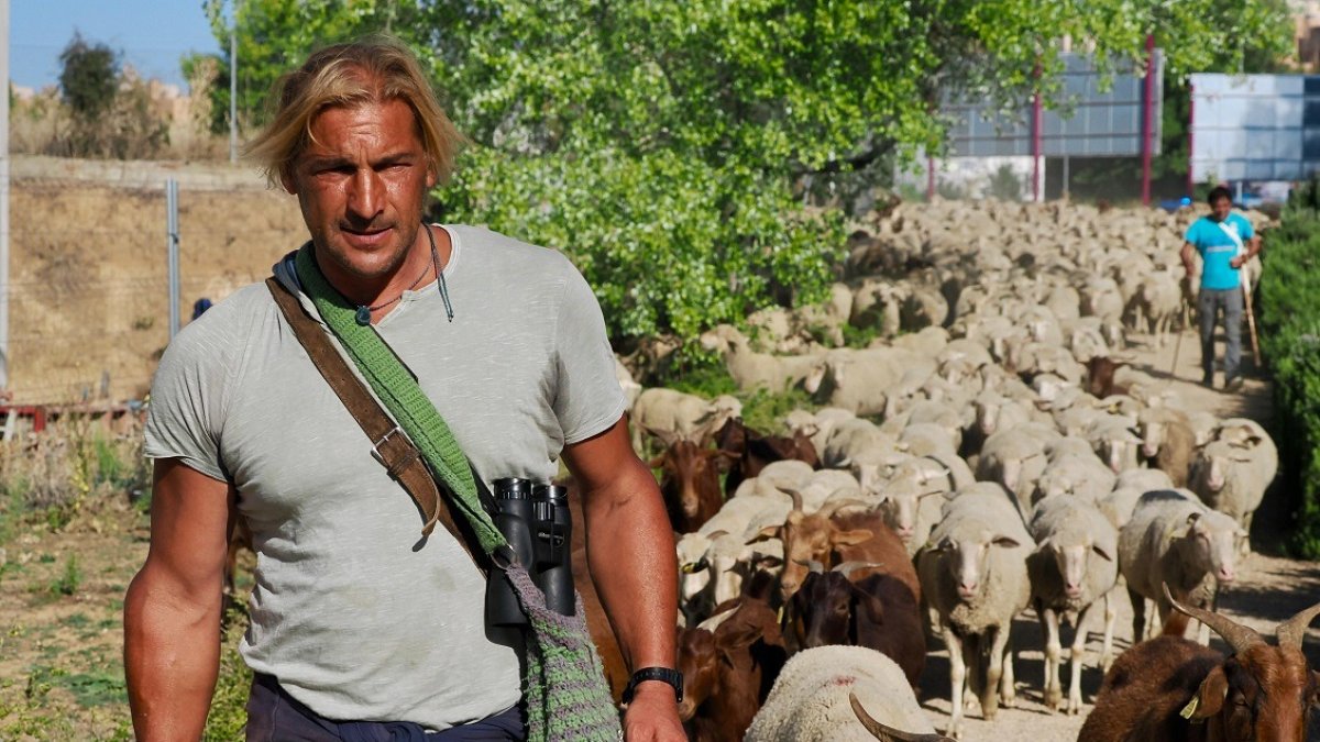 Rubén Gutiérrez, un pastor trashumante con 2.000 ovejas que atraviesa Valladolid para llegar a Madrid. -PHOTOGENIC