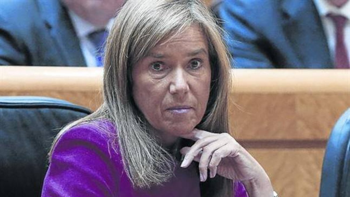 a ministra de Sanidad, Ana Mato.-EFE