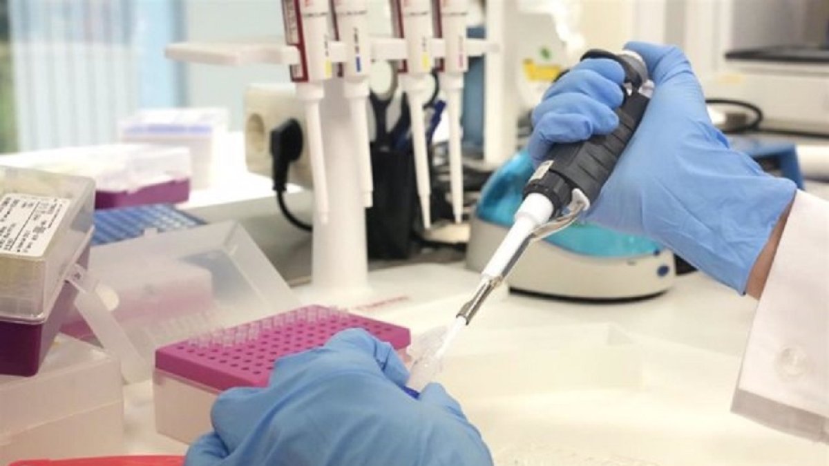 Pruebas en un laboratorio. EP