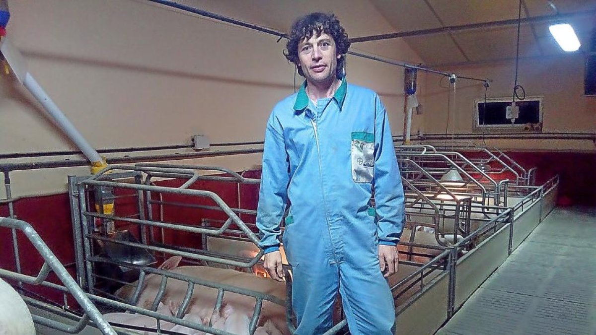 Jesús Cid, ganadero de porcino en su explotación de Bernuy de Coca (Segovia).-E. M.