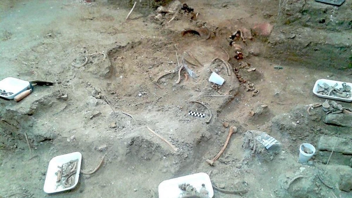 La ARMH agrupa minuciosamente en bandejas los restos óseos en el interior de la bodega de ‘los Alfredos’.-ARMH