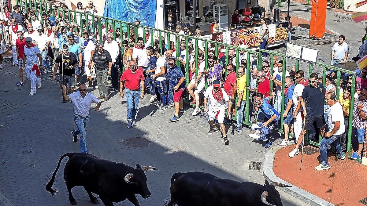 Dos toros corren por las calles de Pedrajas en el encierro de ayer.-MIGUEL ANGEL SANTOS (PHOTOGENIC)