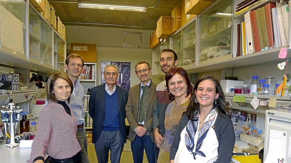 Carmen García-Rodríguez, Javier López, Mariano Sánchez Crespo, J. Alberto San Román, Iván Parra-Izquierdo, Cristina Gómez e Irene Castaños-Mollor.-EL MUNDO
