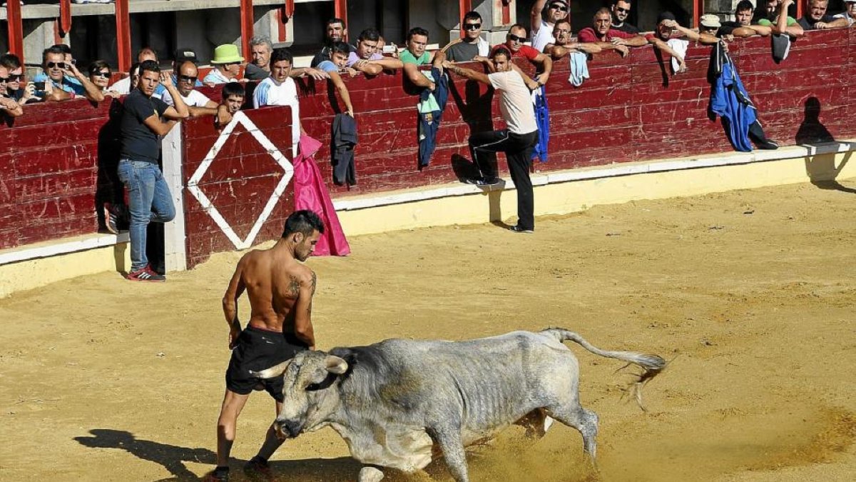 Imagen de archivo de un cortador en Medina del Campo.-S,G, DEL CAMPO
