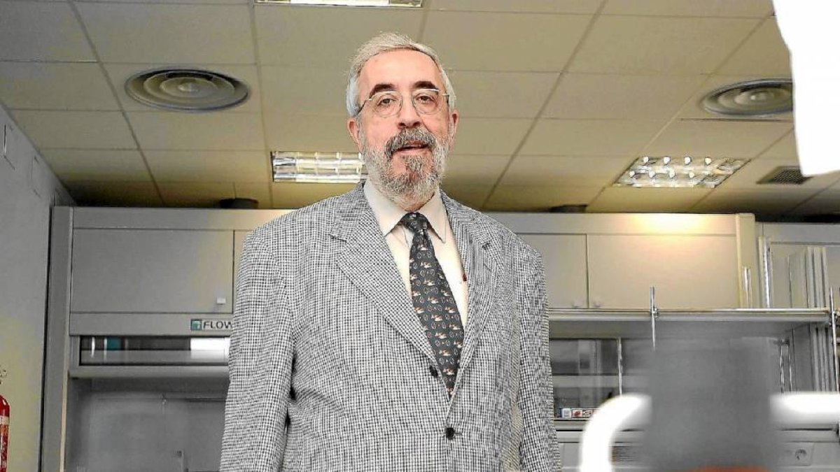 El catedrático e Química Inorgáncia de la UVA, Pablo Espinet-El Mundo