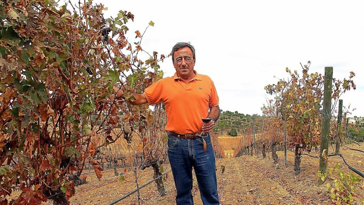 Félix Antonio González posa en la viña con una copa de tinto en la mano, un día del pasado otoño.-J.C.L.