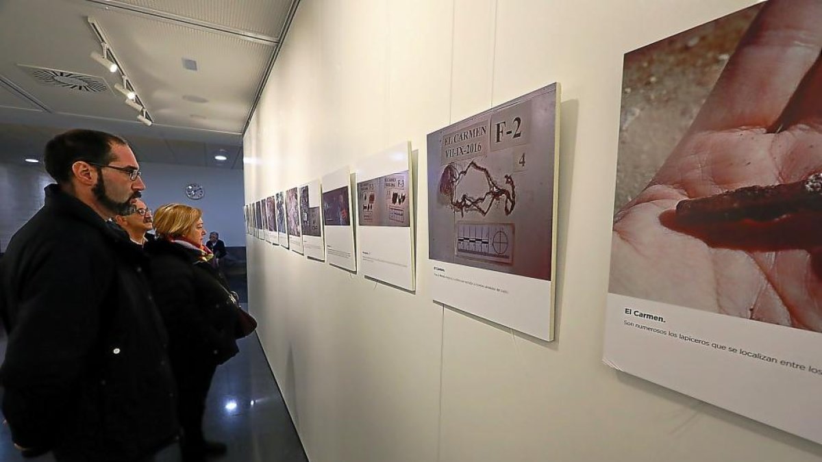 Varios visitantes contemplan algunas de las fotografías de la exposición.-PABLO REQUEJO / PHOTOGENIC