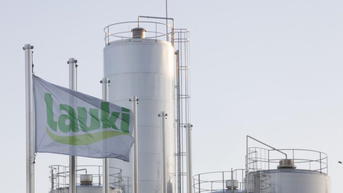 Fábrica de leche Lauki en Valladolid.-P. REQUEJO